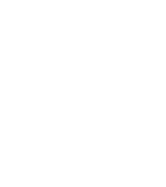 Logo von Racoone Records